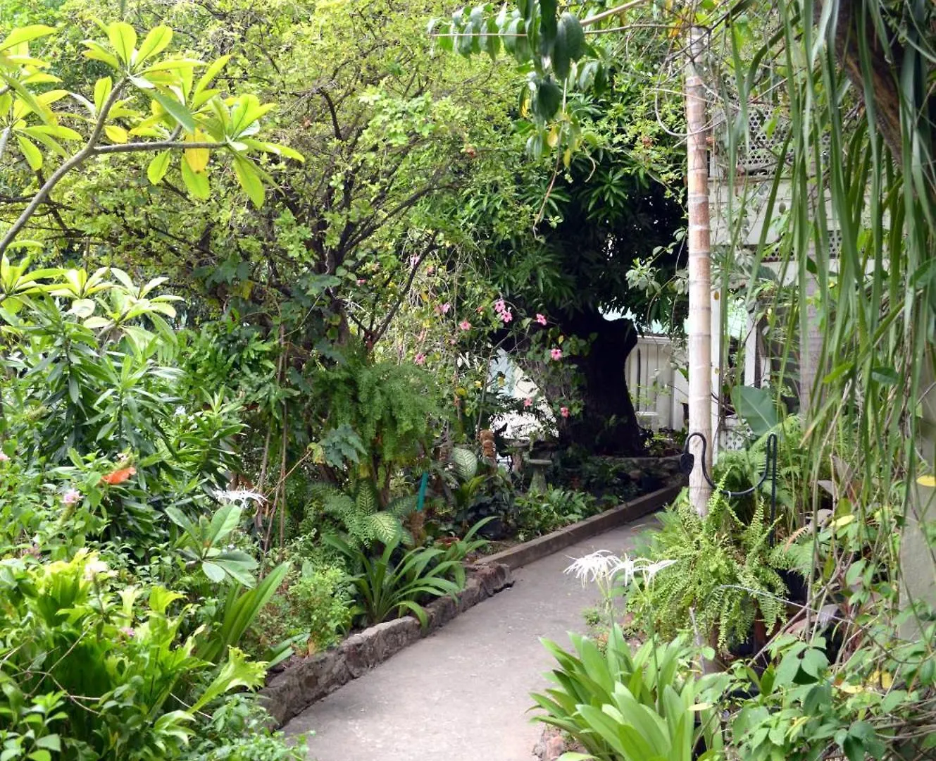 The Liguanea Club Hotel Kingston